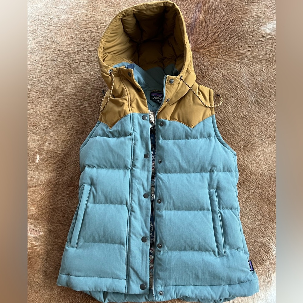 Patagonia Bivy hooded vest